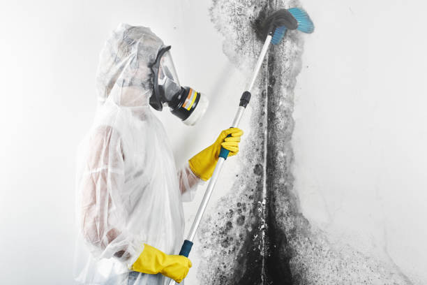 Water damage restoration process in Belfast, ME