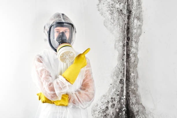 Reliable Belfast, ME Water damage restoration Solutions
